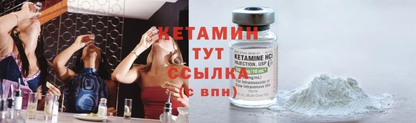 трава Белокуриха