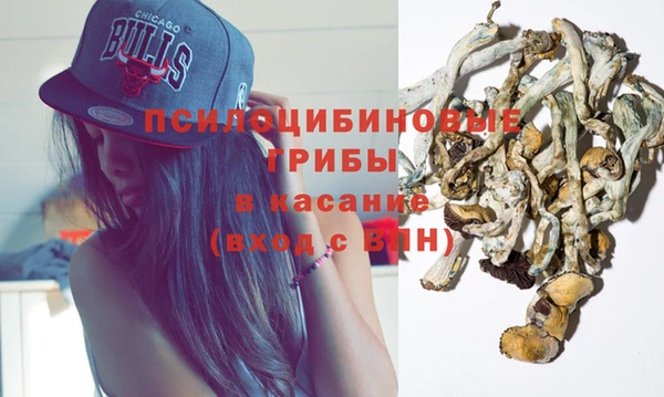трава Белокуриха