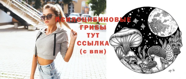 трава Белокуриха