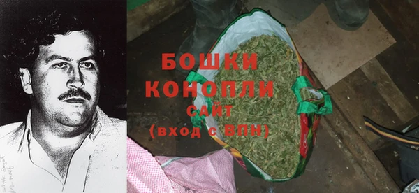 трава Белокуриха