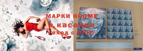 трава Белокуриха