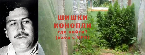 трава Белокуриха