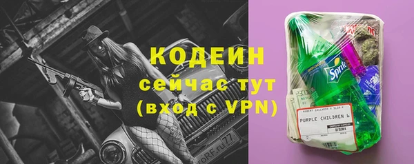 трава Белокуриха