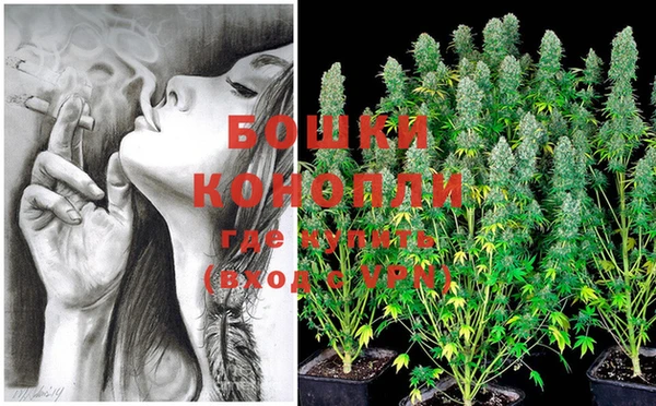 трава Белокуриха
