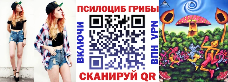 цены Горячий Ключ Псилоцибиновые грибы прущие грибы